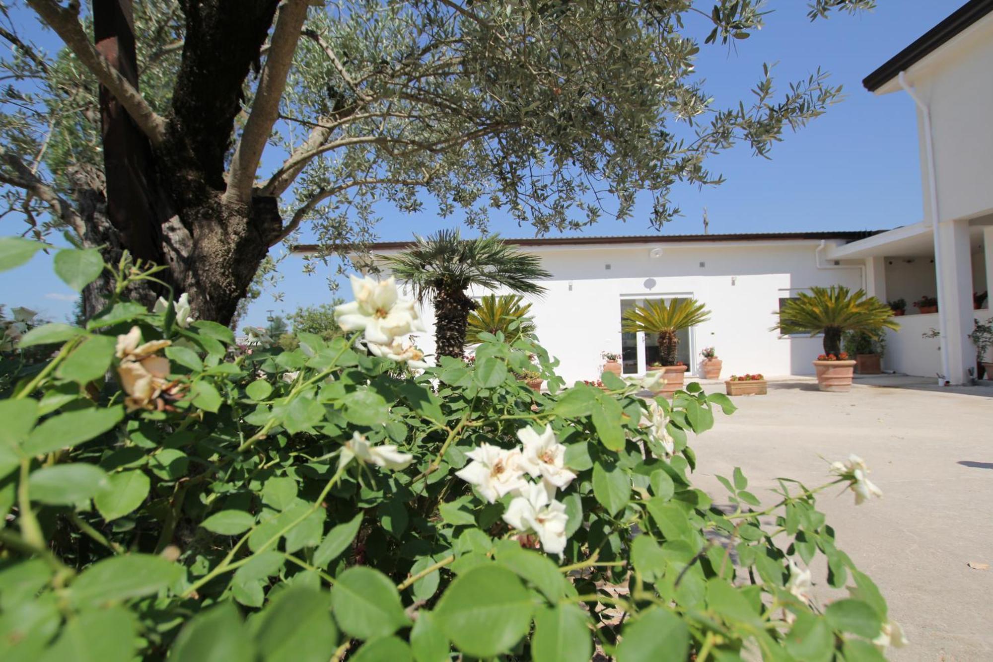Villa Capodacqua Castrocielo Εξωτερικό φωτογραφία